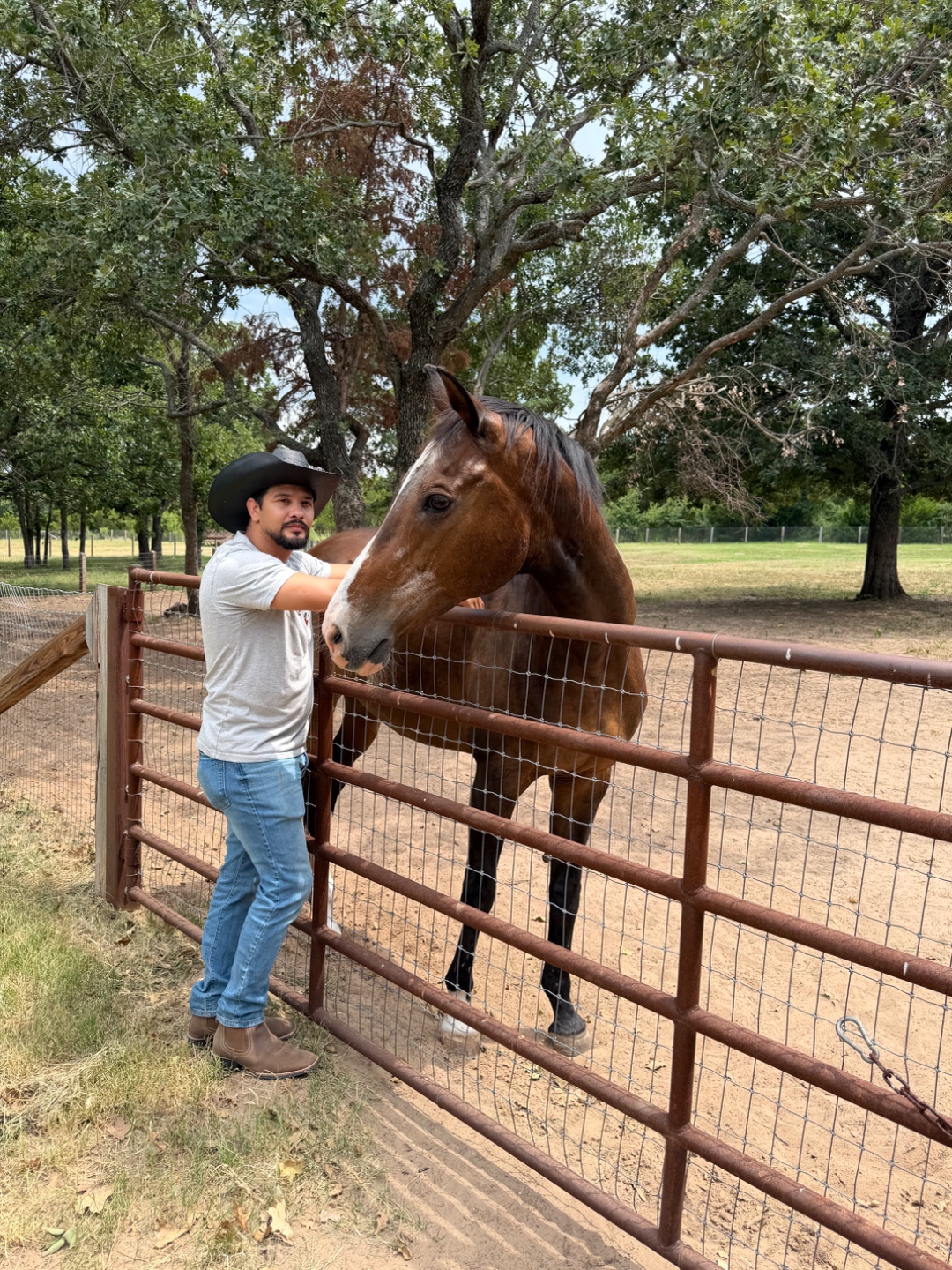 A horseman and horse at Bent Tree Ridge.